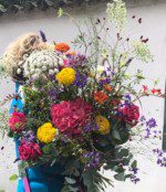 Blumen-Hahn Blumen-Hahn