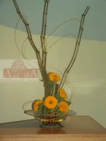 AaA Altstadtblume am Alstertor Thorsten Lubs e.K.