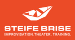 Logo Steife Brise