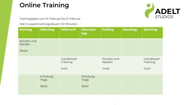 Online Training Adelt Studios Plan_15.02 bis 21.02