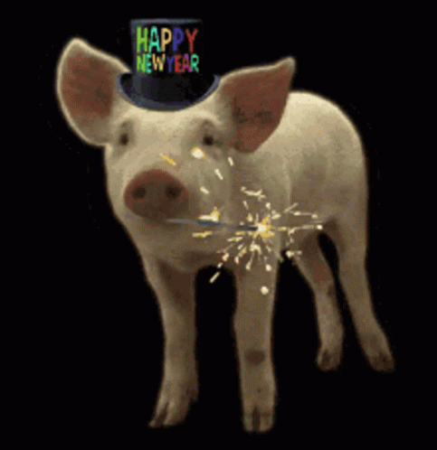 YesPigGIF