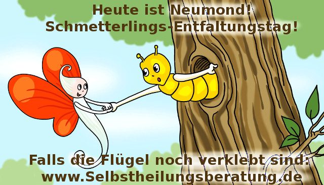 Entfaltung