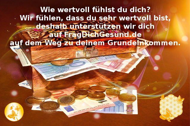 wert-grundeinkommen