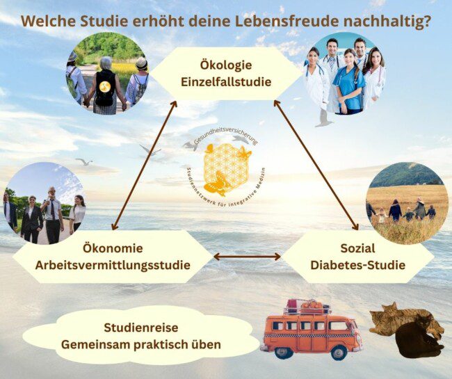 Studien-Überblick-Fb