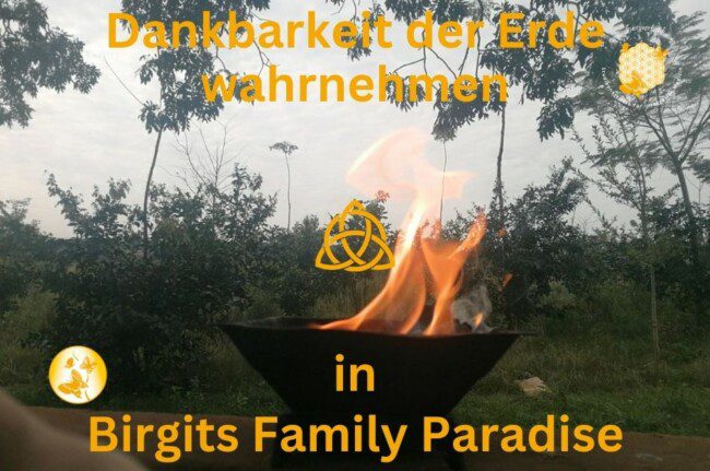 Dankbarkeit-wahrnehmen