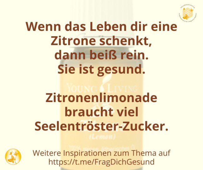 Lebensfreudemesse-Schatz1