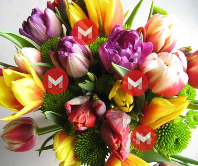 M-POINT_Blumen