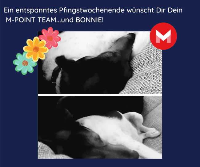 Frohe Pfingsten!