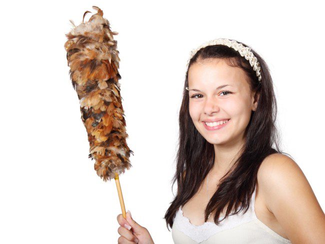 Frau mit Staubwedel
